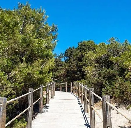 Mercuri Blanc * Sant Jordi de ses Salines